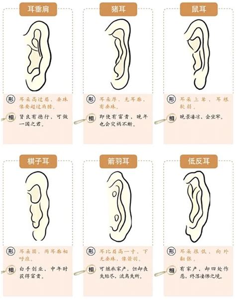 耳洞大 面相|面相耳朵图解【最详细版】 – 杨易德全集官网